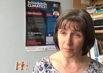 Are wood-burning stoves eco-friendly?