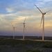 U.S. wind capacity grew 8% in 2018, AWEA says