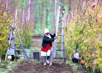 ‘A trusted voice’ for social justice: Guterres celebrates 100 years of the International Labour Organization