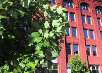 Brick – the most sustainable of all building materials.  Registered builder and consultant.