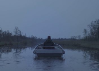 The Bright Science transforming old reeds into building materials