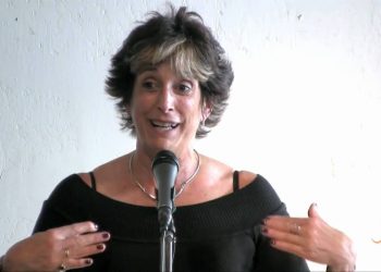 Laura Birns: Her Excitement and Woes Pioneering in Green Design – buildaroo.com