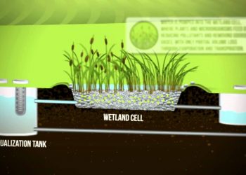 Eco-Friendly Wastewater Treatment System