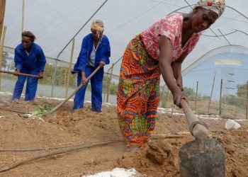 Work to make the world a better place: 5 things you need to know about ‘green jobs’