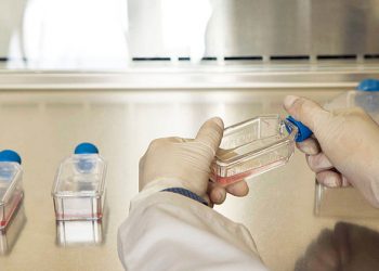 UN, global health agencies sound alarm on drug-resistant infections; new recommendations to reduce ‘staggering number’ of future deaths