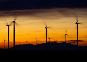 GWEC says more than 300 GW of wind power capacity to come online by 2024
