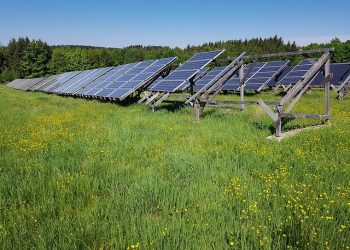 Michigan revisits policy that limits solar development on farmland