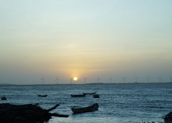 In Northeast, more research needed on offshore wind’s impact on fishing