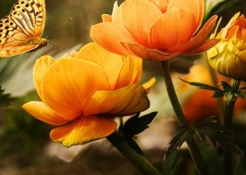 Summer Camps & Eco-Education | USGreenTechnology