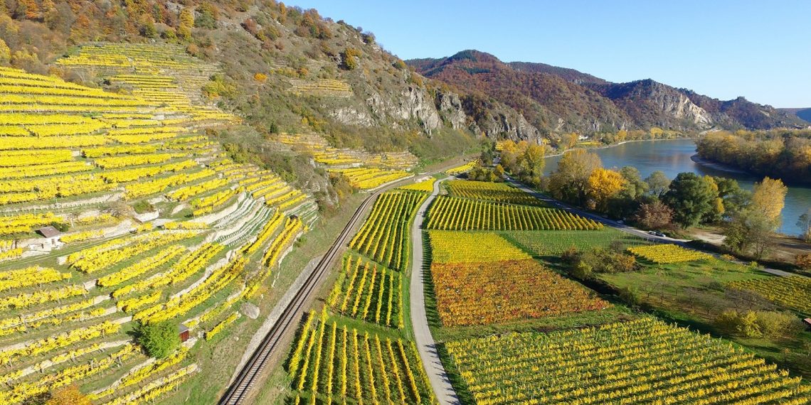 Green economy could create 24 million new jobs