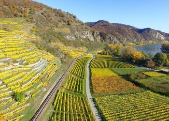 Green economy could create 24 million new jobs