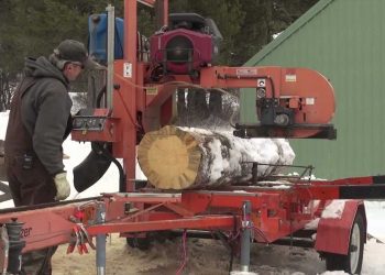 Beetlekill Boards markets locally sourced alternative building materials