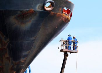 FROM THE FIELD: Stopping aquatic hitchhikers to safeguard environments at sea