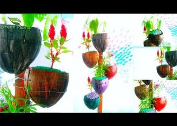 Natural Looking Flower Pot From Coconut Husk |  Eco-friendly & Organic pot DIY Garden //GREEN PLANTS