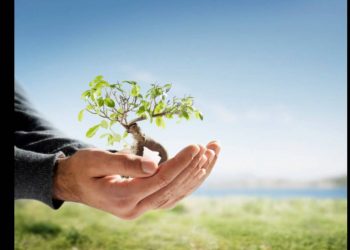 Biodegradable Products, Eco-Friendly Compostable GREEN