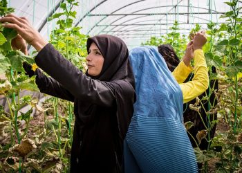 Environment Friendly Farming Improves Gender and Economic Equality for Women