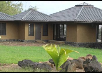 Building With Bamboo: Why Bamboo Homes Are Eco-Friendly