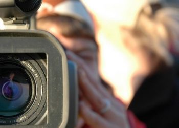 Tuesday’s Daily Brief: prizewinning journalists freed in Myanmar, new tracking tool for suspected terrorists, and a global bid to stop snakebite deaths