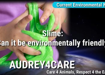 Slime: Can it be environmentally friendly? | Current Environmental News | Best Science News