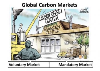 Green Buildings, LCA, and Carbon Sequestration
