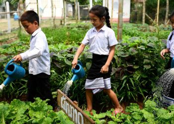 Thursday’s Daily Brief: Ebola in DR Congo, malnutrition in Laos, baby health, support for Sahel force, #ClimateAction