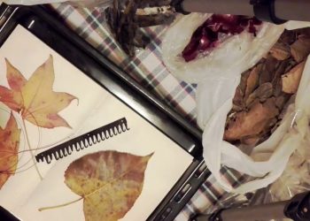 How I Eco Dye my Papers (part 1)