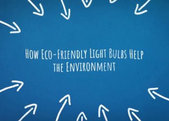How Eco-Friendly Light Bulbs Help the Environment