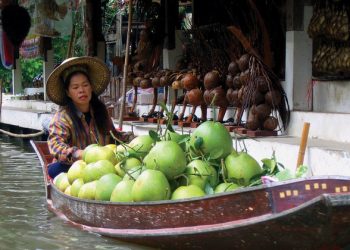 Preserving biodiversity vital to reverse tide of climate change, UN stresses on International Day 