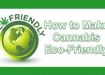 How to Make Cannabis Eco-Friendly and Better for the Environment