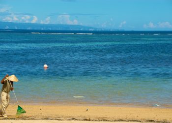 6 Recent Signs of Hope for the Ocean