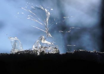 The bursting of the Tesla stock bubble