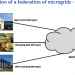 Why not a global green new deal through a federation of microgrids?