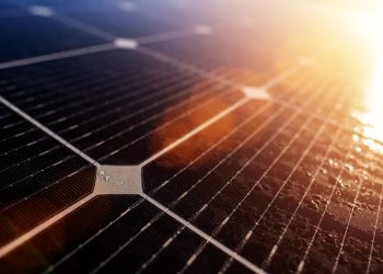 Goldman Sachs sees solar panel prices stabilizing