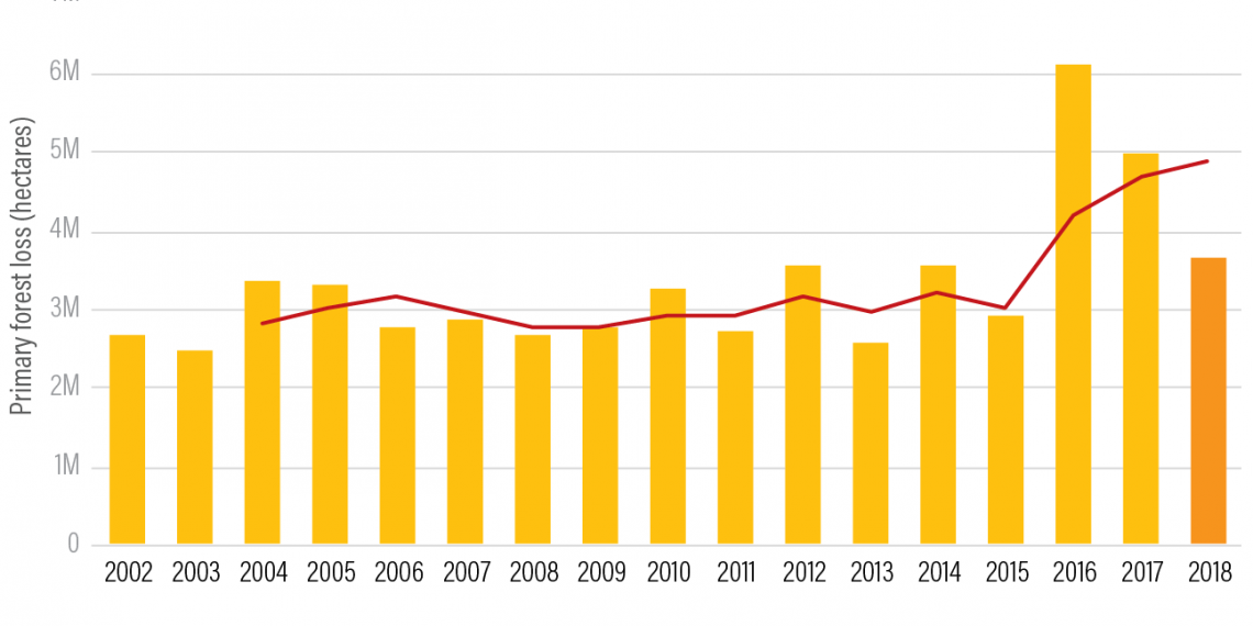The World Lost a Belgium-sized Area of Primary Rainforests Last Year