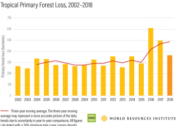 The World Lost a Belgium-sized Area of Primary Rainforests Last Year