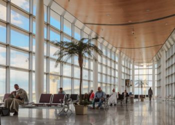 Timber to Replace Glass in Buildings?