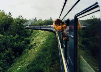 Which Green One Should You Choose This Summer?