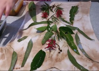 How to eco-print a tee shirt – full details