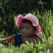 More funding needed to tackle child labour in agriculture says UN, marking World Day
