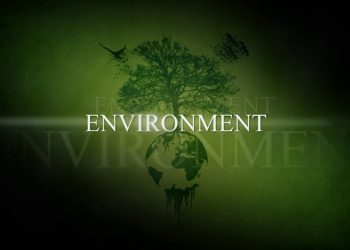 Eco friendly environment short film tile
