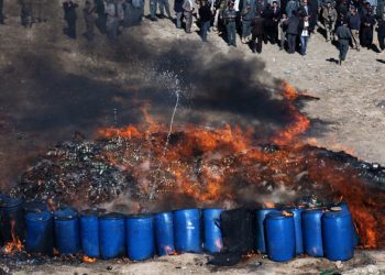 Two-thirds of global drug deaths now from opioids: UN drugs report