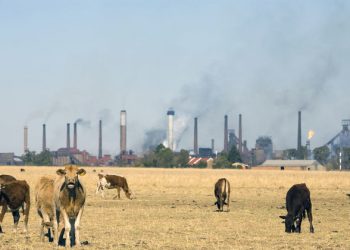 ‘Act now with ambition and urgency’ to tackle the world’s ‘grave climate emergency’, UN chief urges UAE meeting