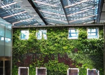 5 Ways to Understanding Sustainable Construction