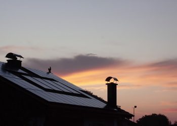 New York braces for solar fight as utility regulators mull fixed charge increase