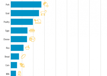 5 Ways to Put Food on a Water Diet