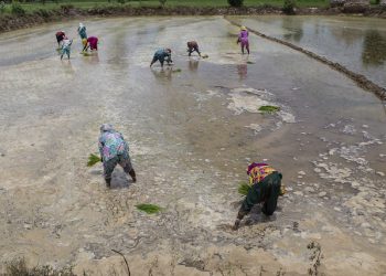 Local Communities Aren’t Just Climate Victims. They’re Climate Adaptation Leaders