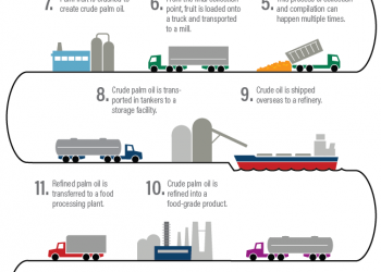 A New Tool Can Help Root Out Deforestation from Complex Supply Chains