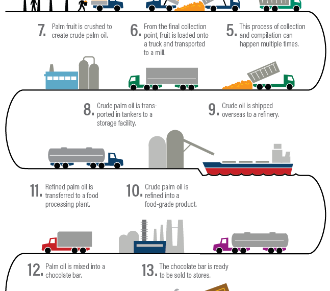 A New Tool Can Help Root Out Deforestation from Complex Supply Chains