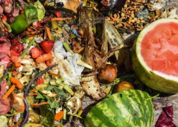 Food Waste Problem: AI to the Rescue?