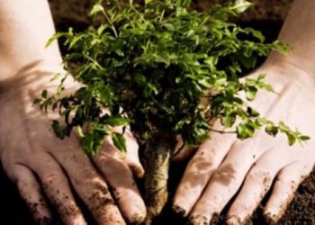 Green Father’s Day Gifts You Can’t Pass Up Green Father’s Day Gifts in 2019